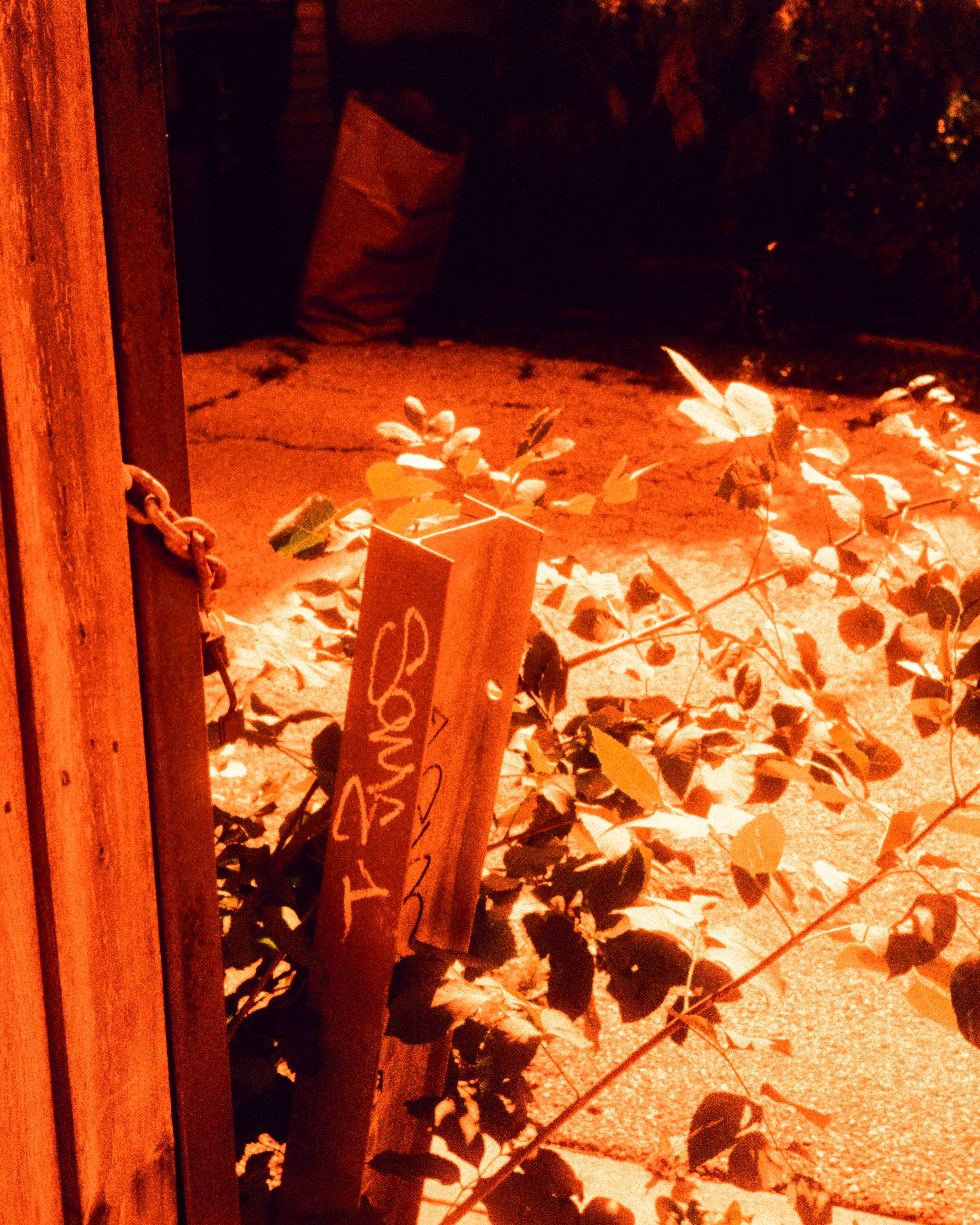 Harman Red 125 - 35mm