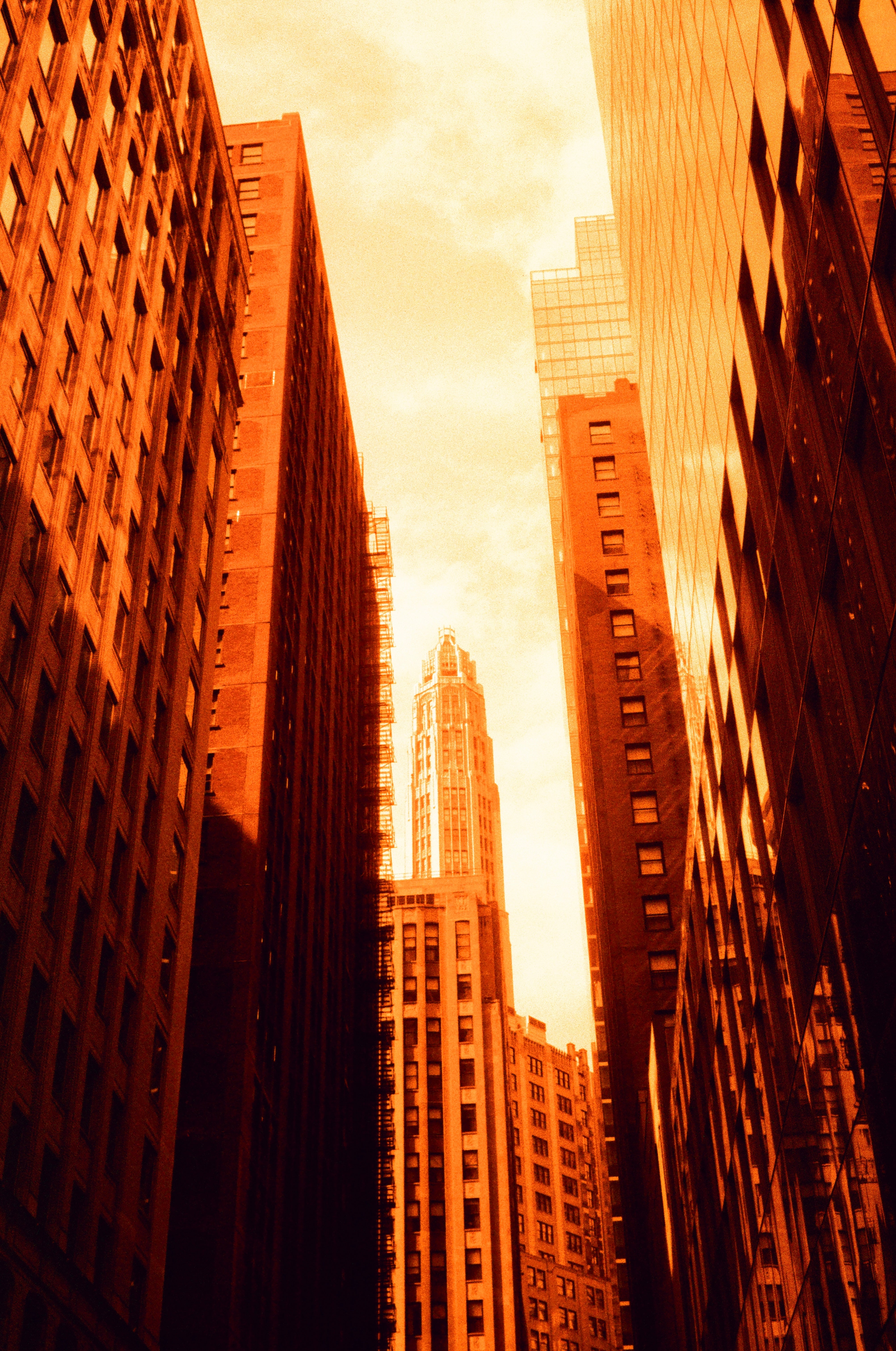 Harman Red 125 - 35mm