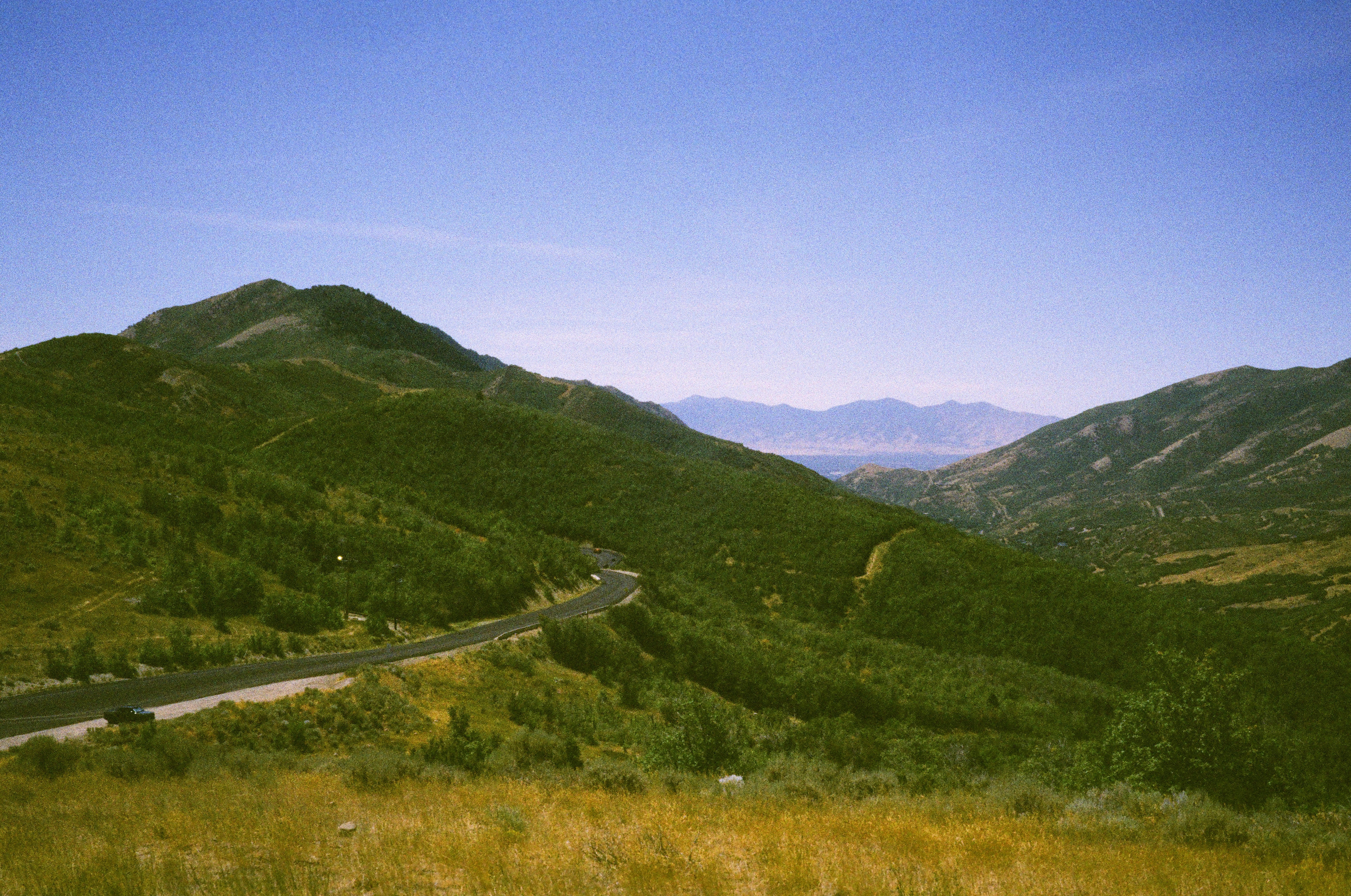 Harman Phoenix II 200 - 35mm