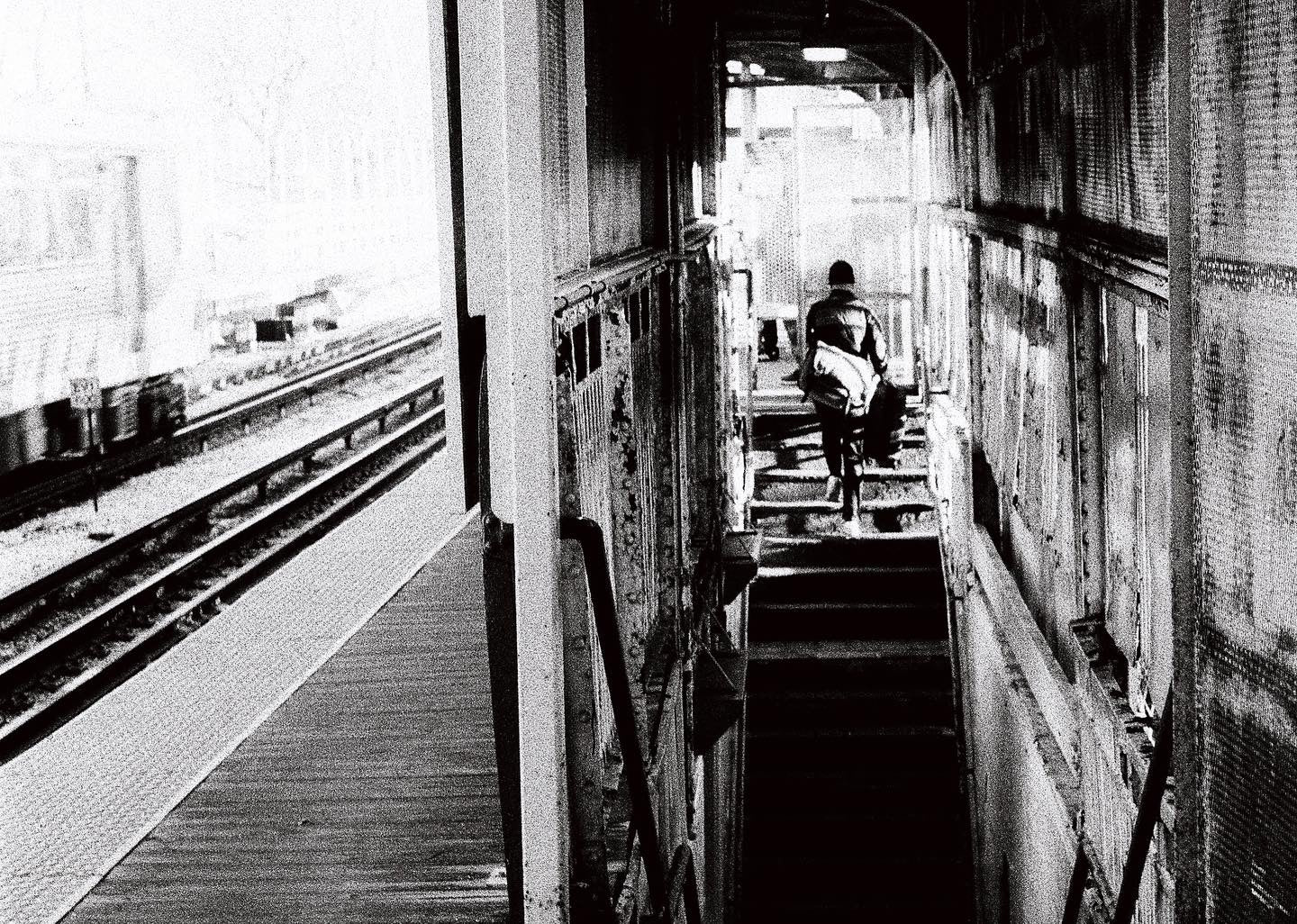CineStill XX - 35mm