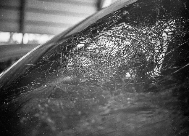 CatLABS X Film - Thumbnail 2