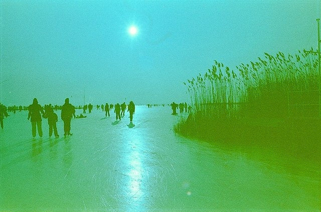 Revolog 460nm 200 - 120mm