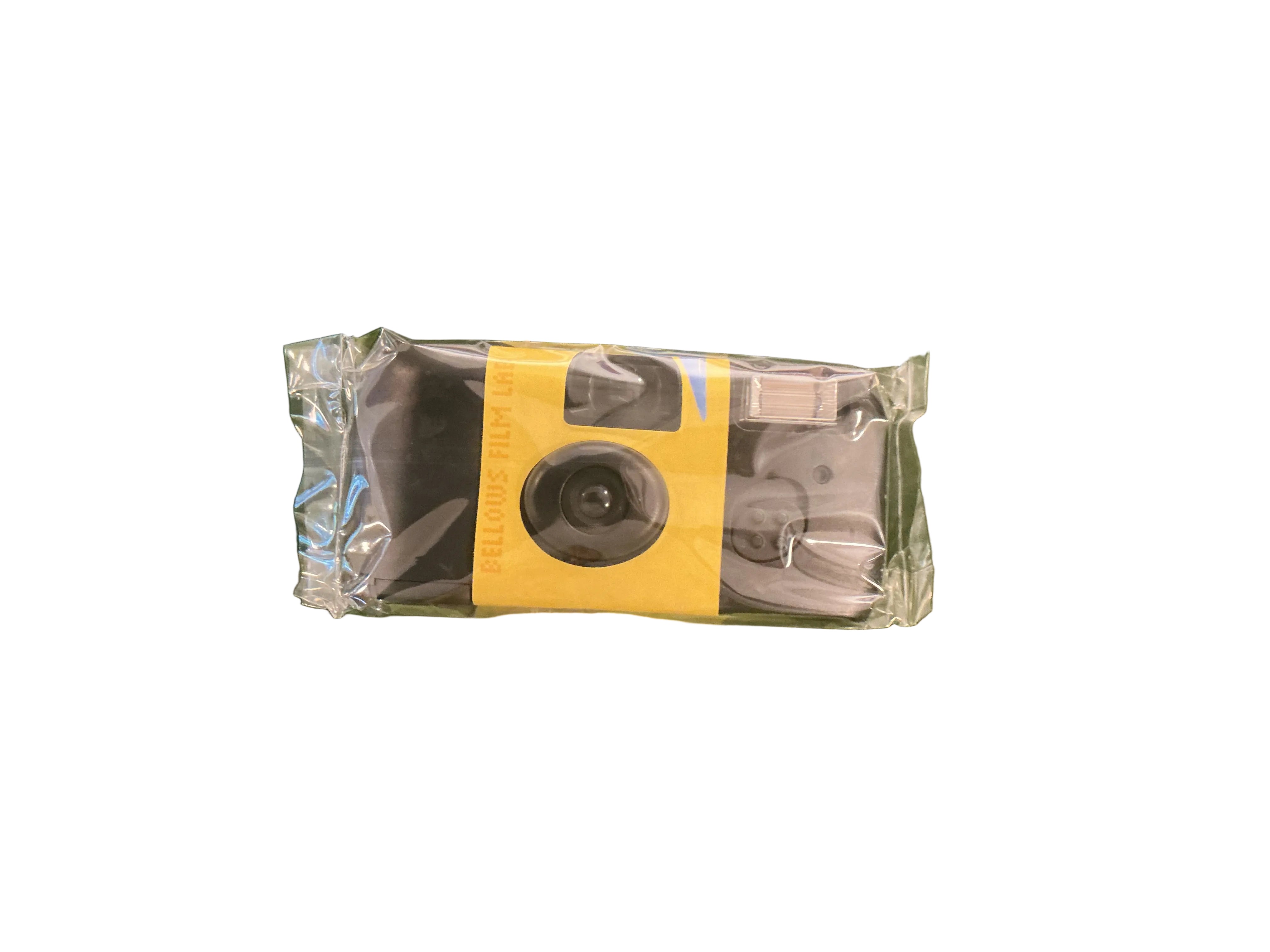 Bellows Disposable Camera Design #3