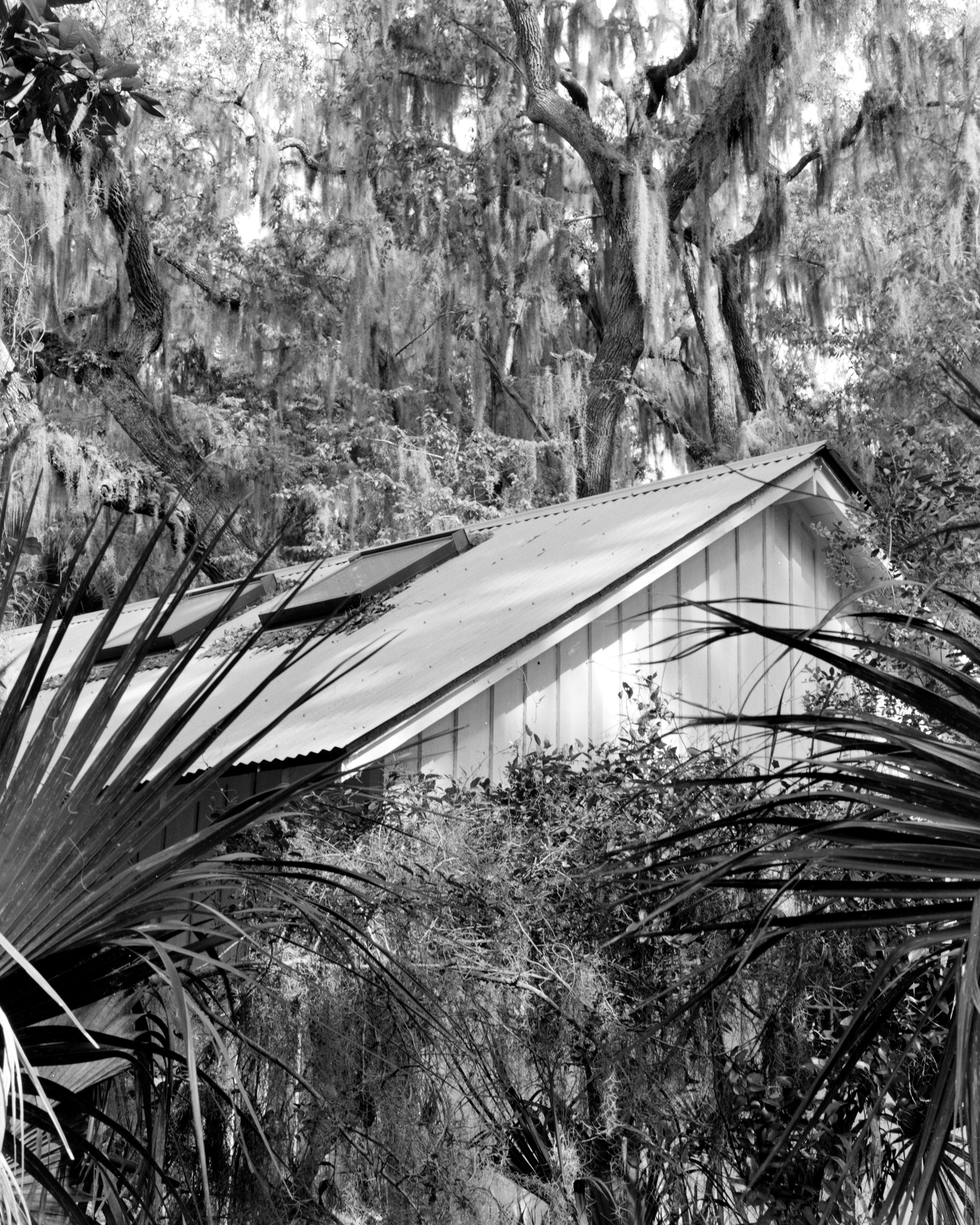 Ilford HP5 400 - 35mm