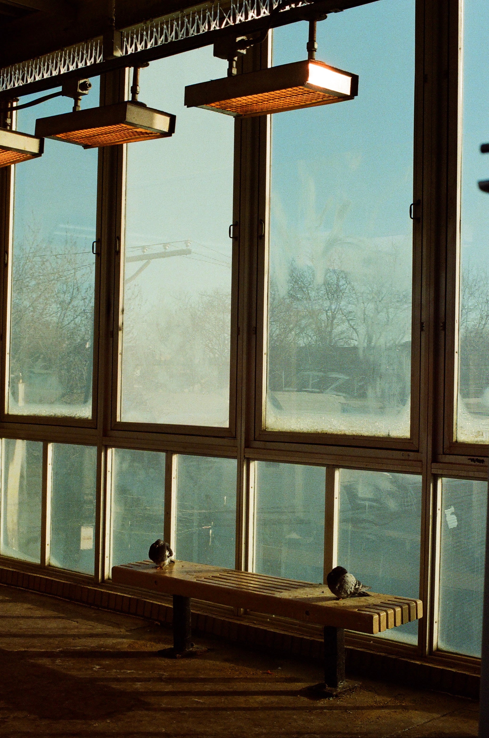 Lomography 800 - 35mm - 3pk