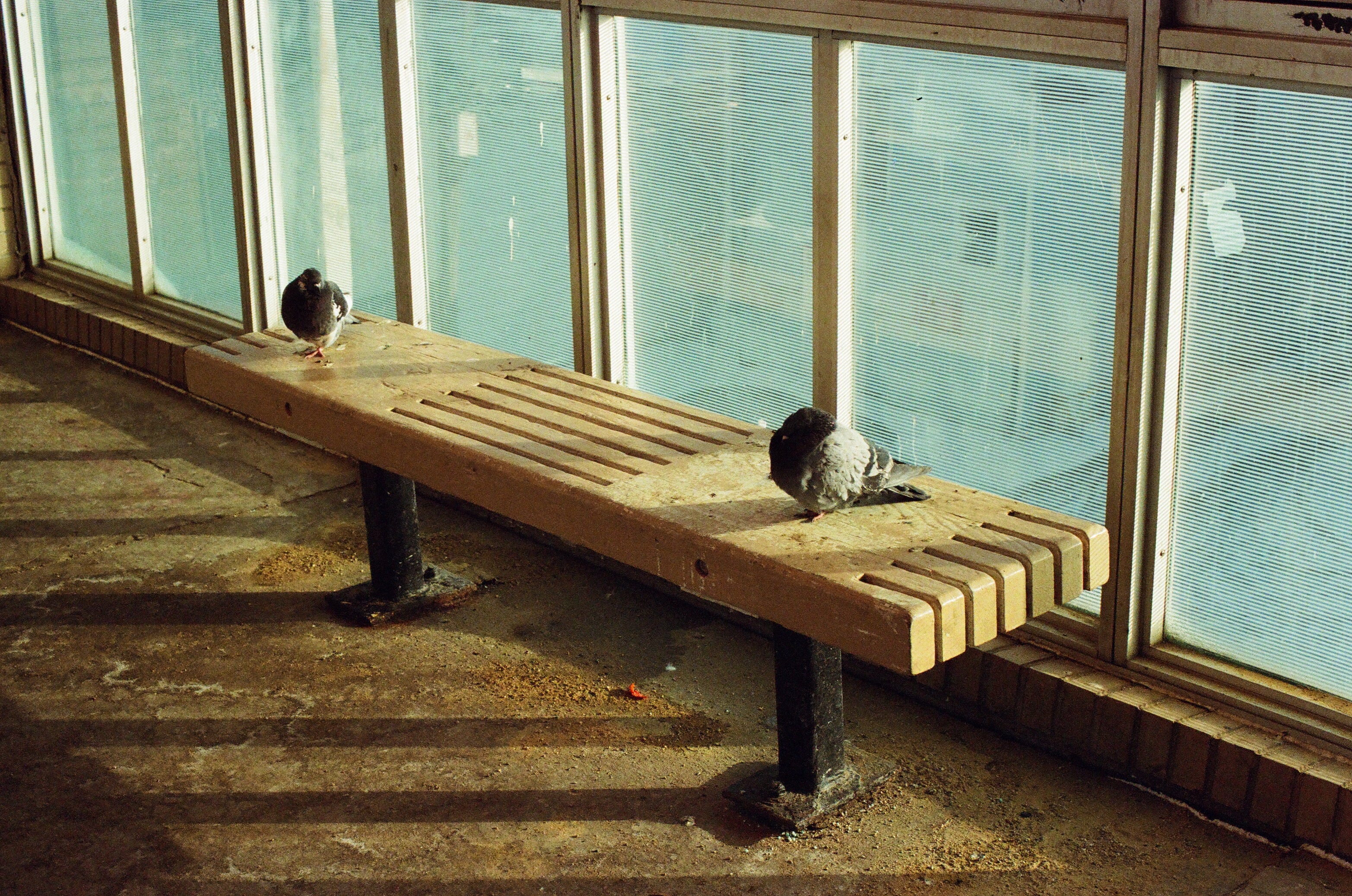 Lomography 800 - 35mm - 3pk