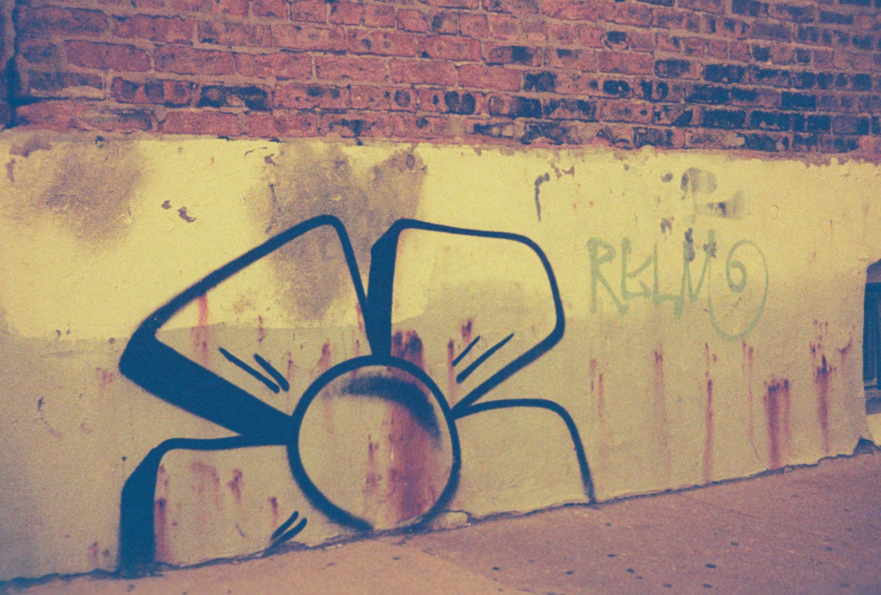 Lomography Lobster Redscale 200 - 110 Film