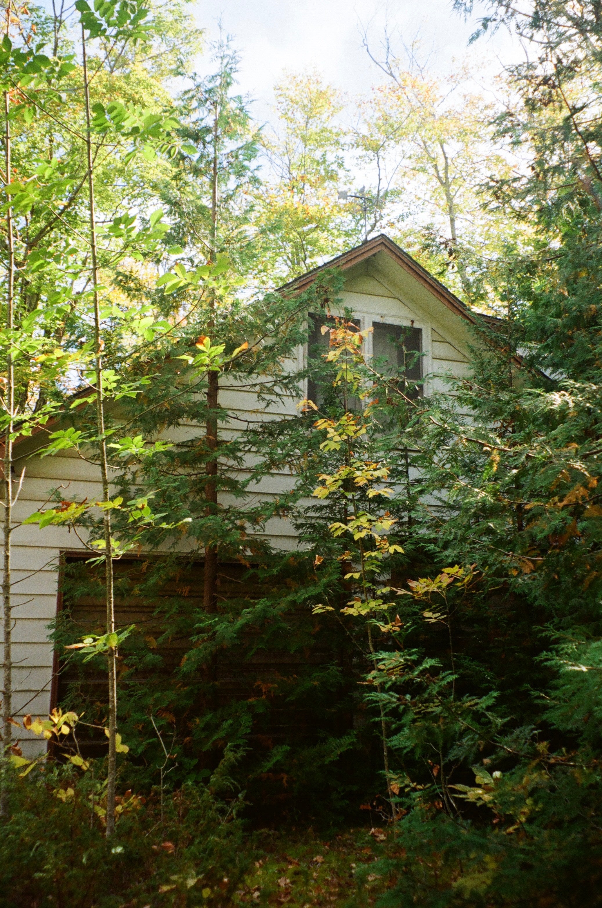 Kodacolor 200 - 35mm