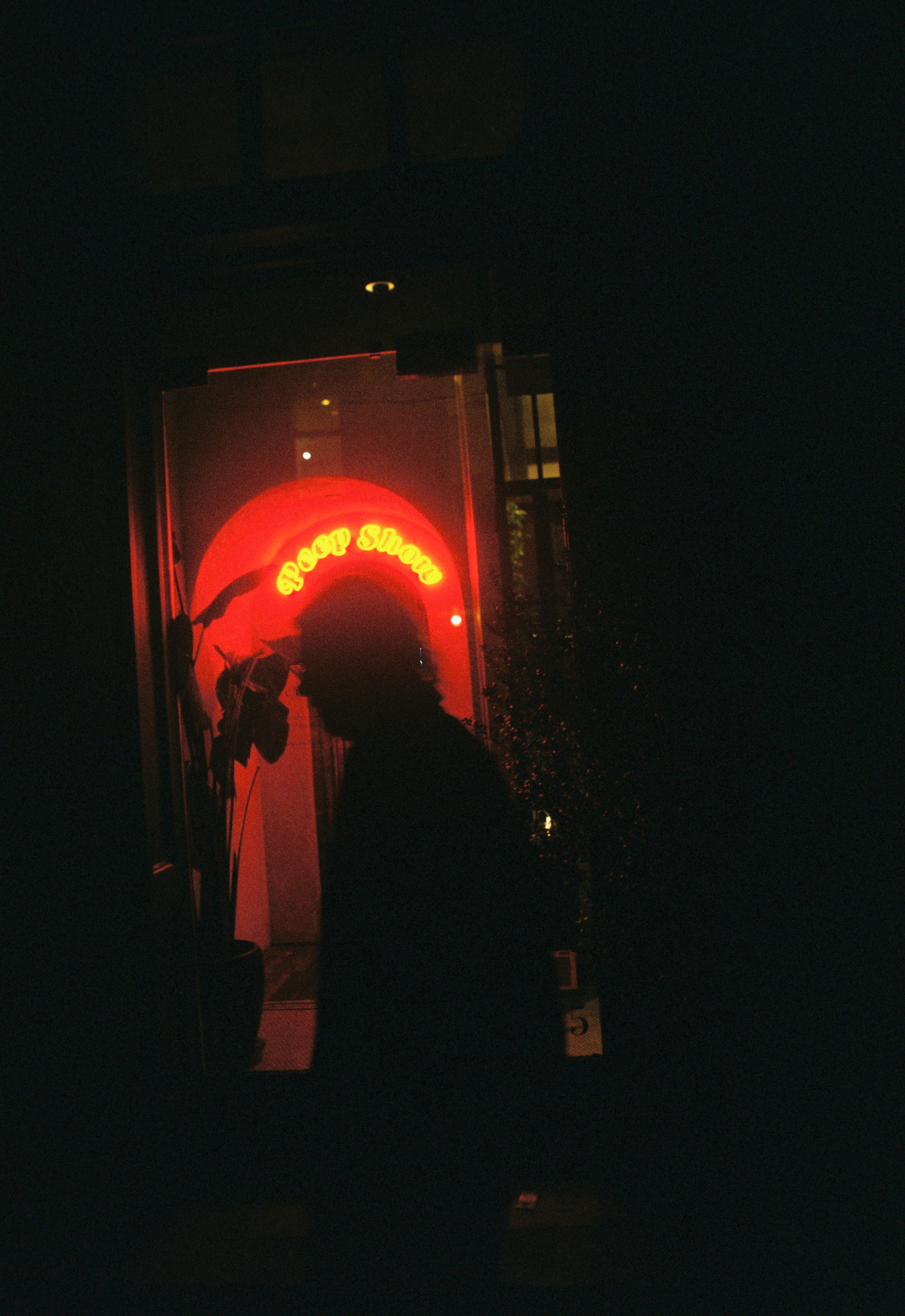 Cinestill 400D - 120