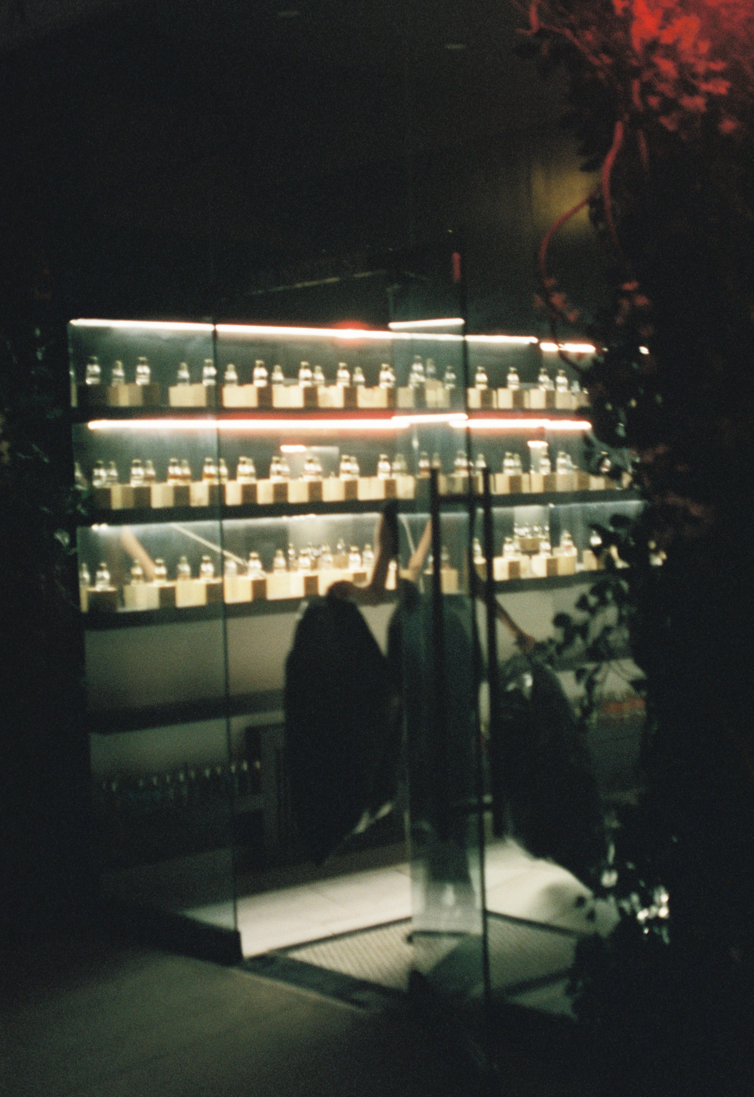 Cinestill 400D - 120