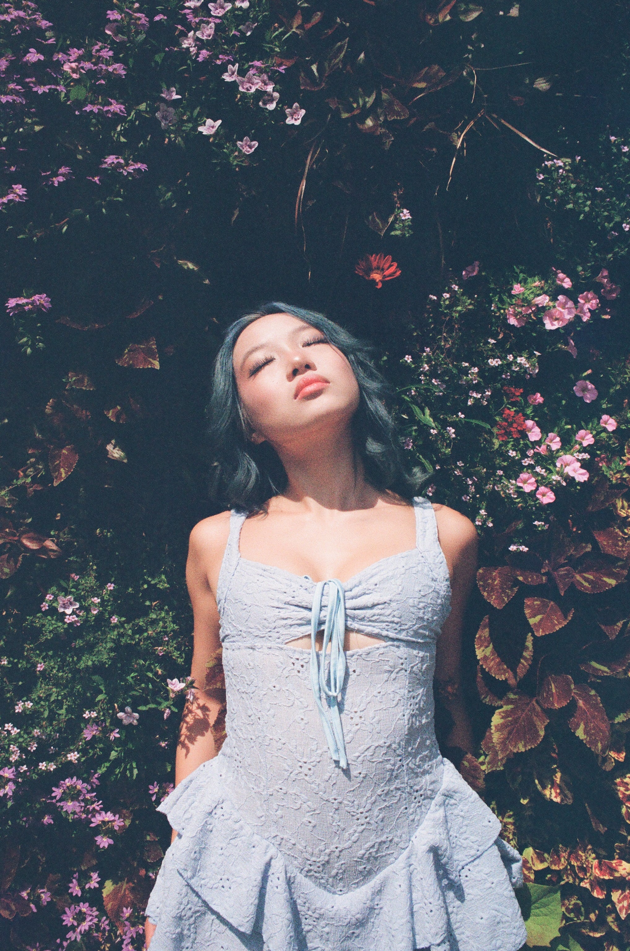 Kodak Portra 800 - 120