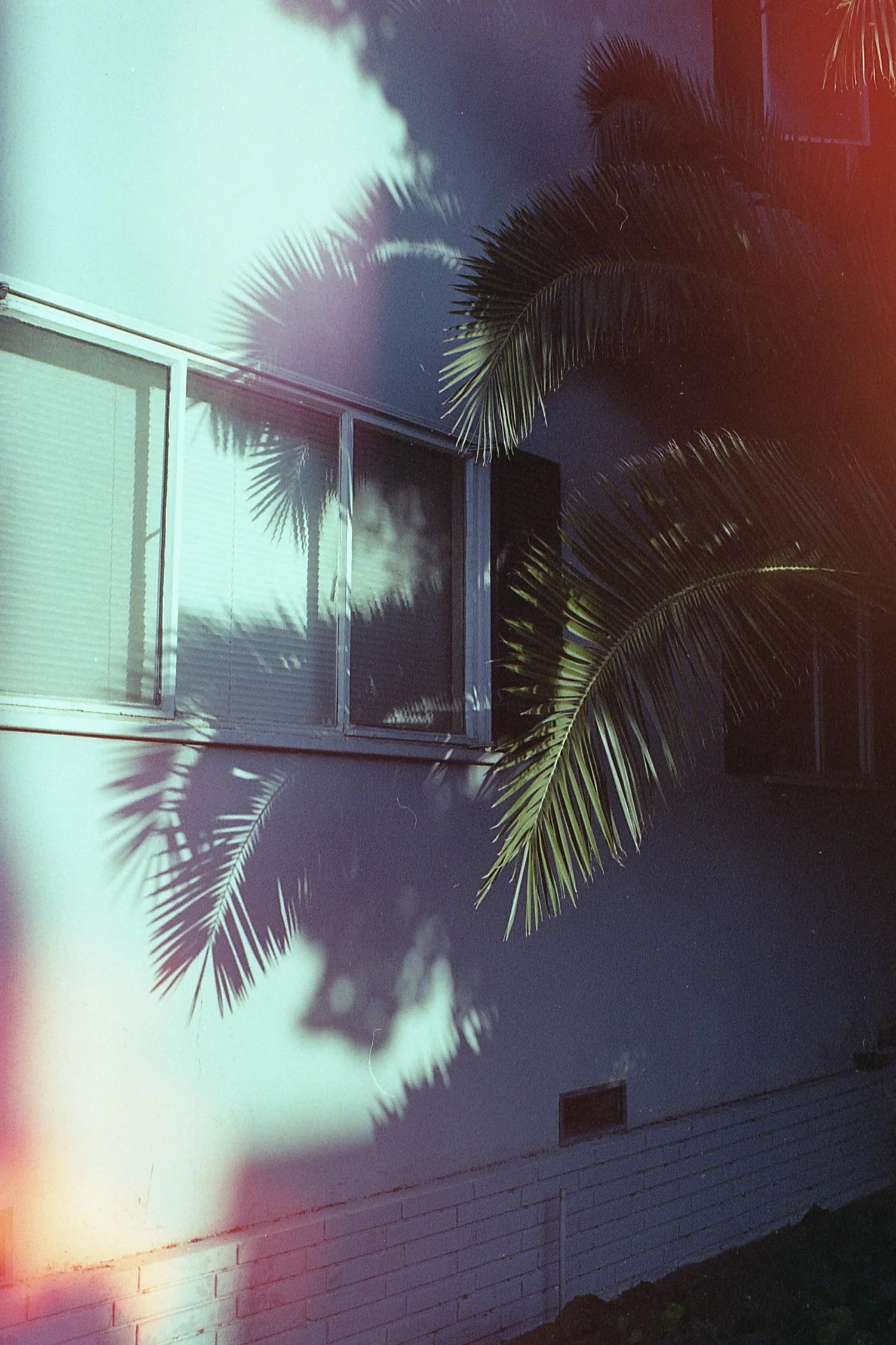 Psychedelic Blues #3 400 - 35mm