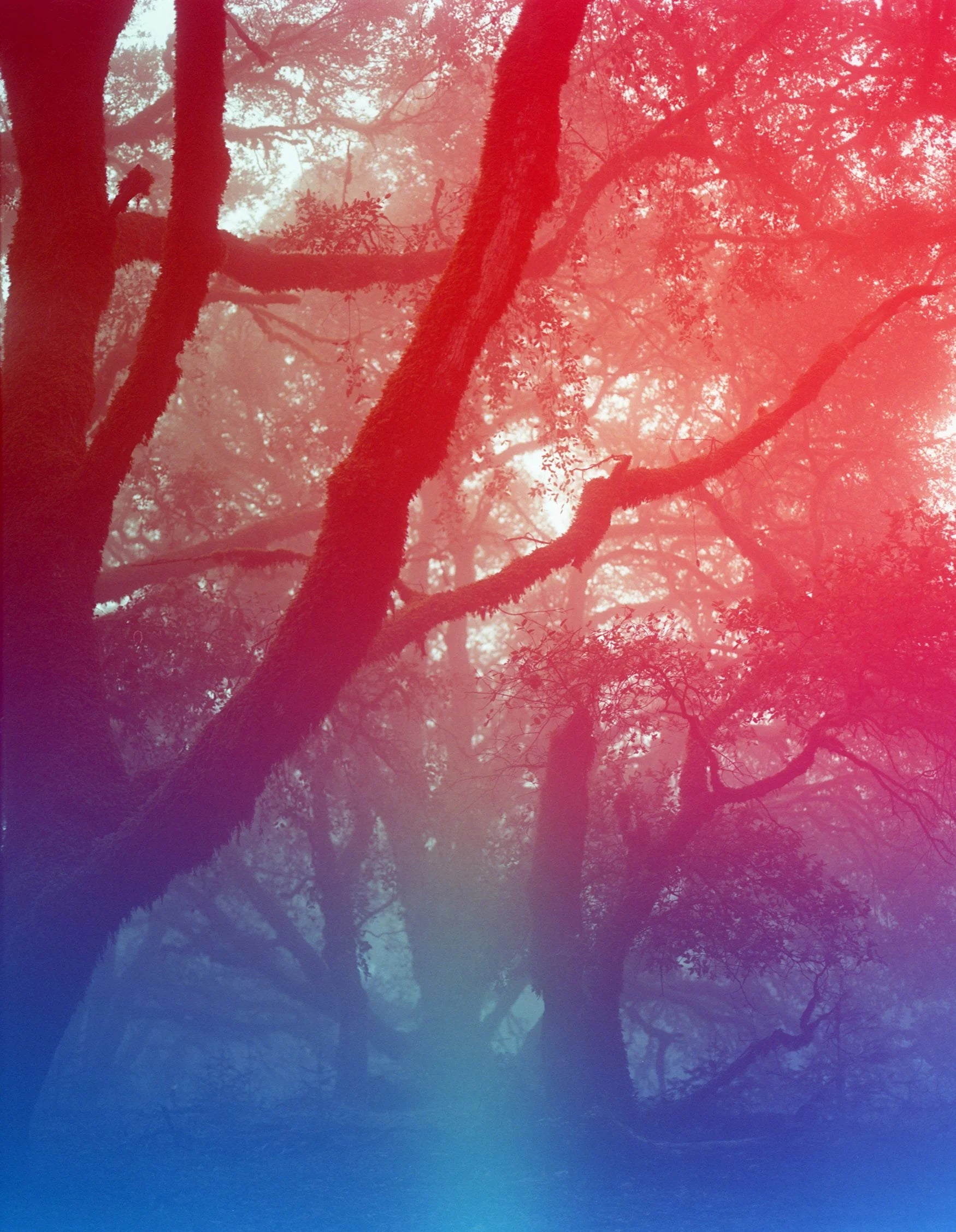 Psychedelic Blues 400 - 120
