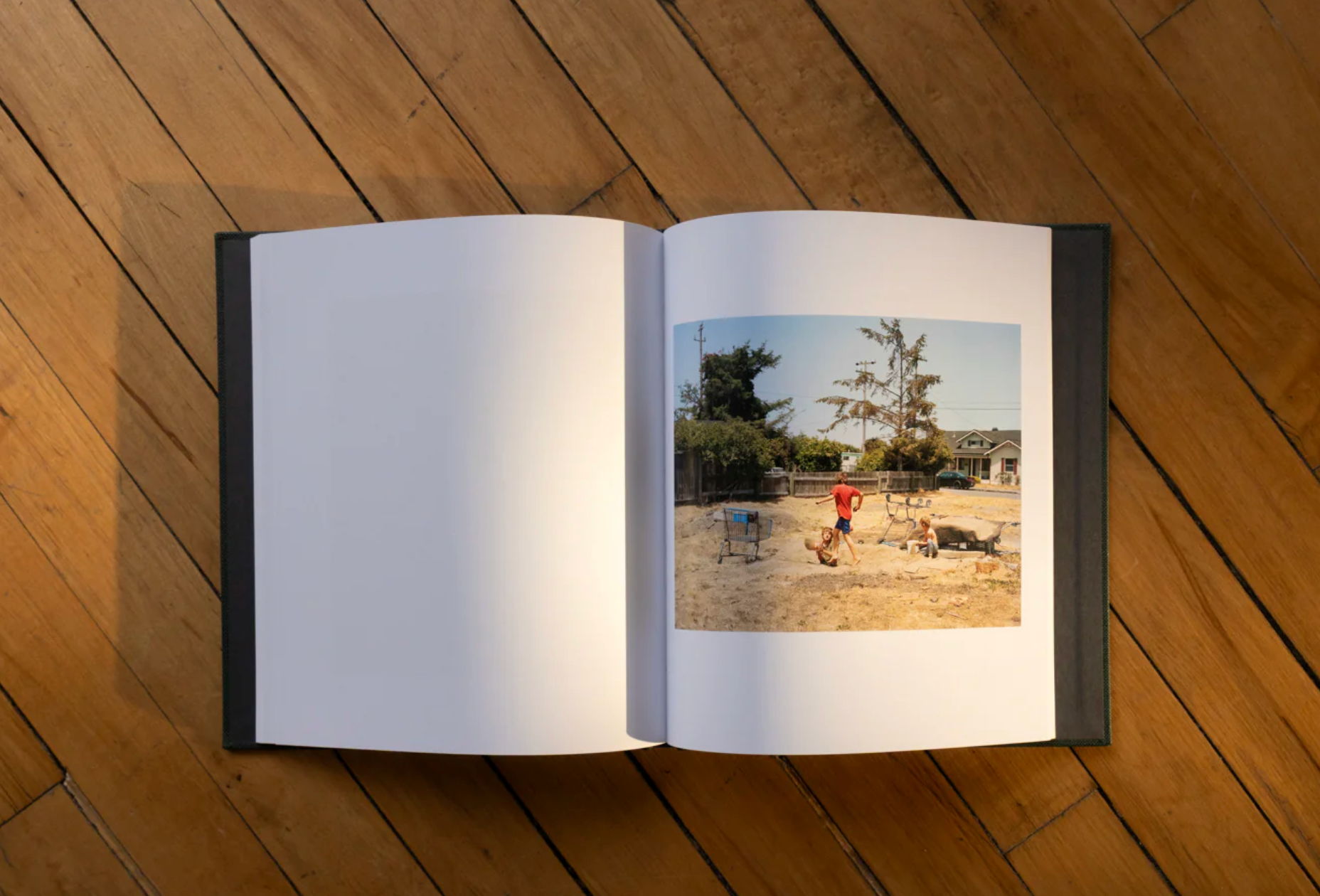 Lost Coast (Second Edition) -  Curran Hatleberg