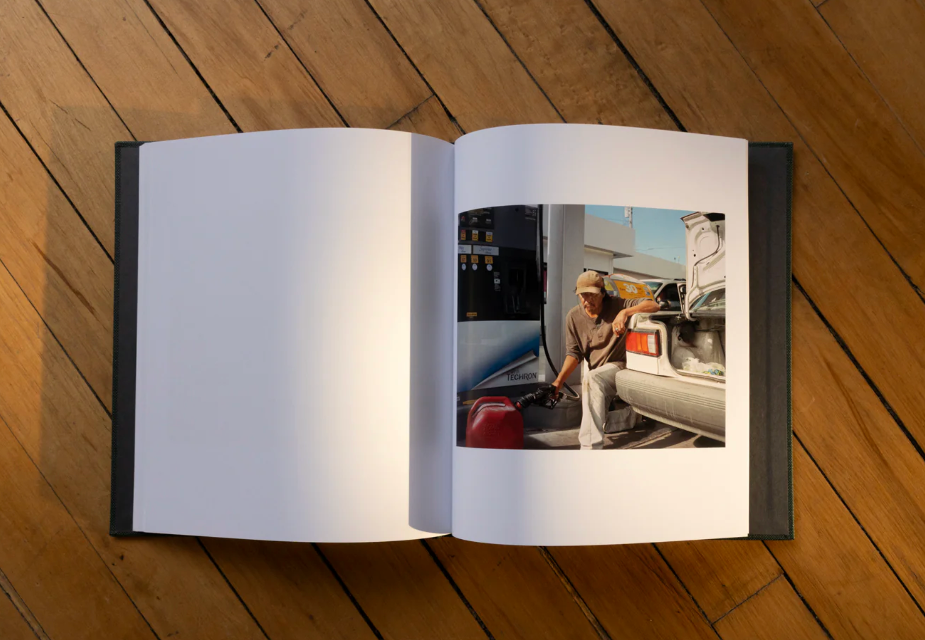Lost Coast (Second Edition) -  Curran Hatleberg