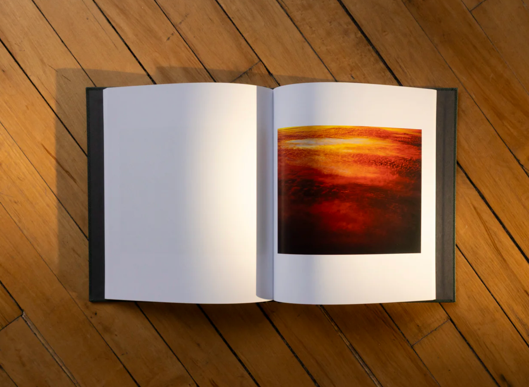 Lost Coast (Second Edition) -  Curran Hatleberg