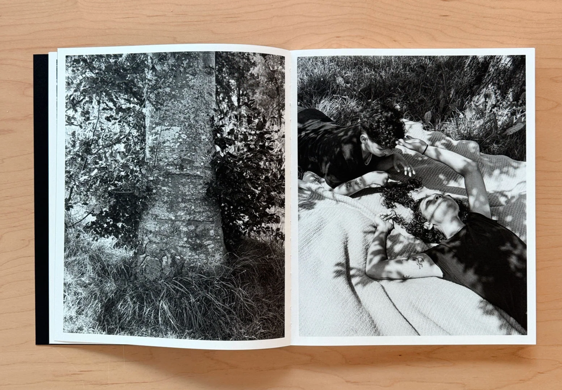 Mixedness is my Mythology (Signed) - Farren van Wyk
