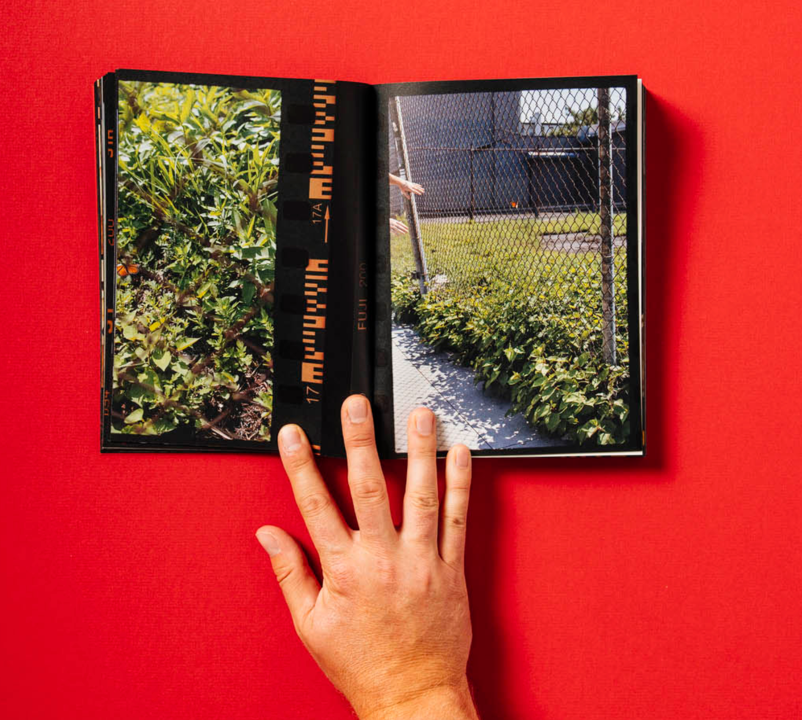 Small Death - Martha Naranjo Sandoval