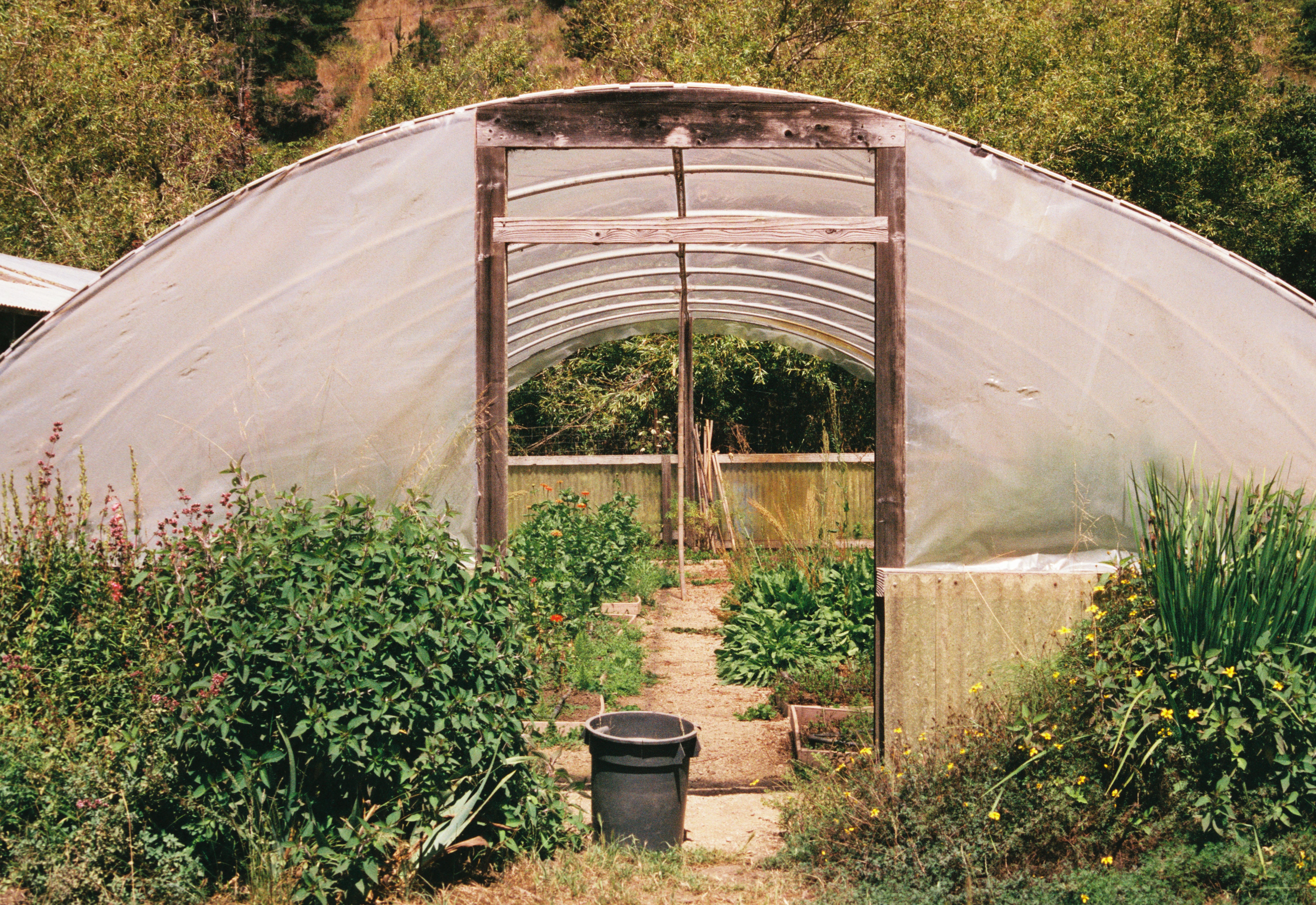 Kodak ColorPlus 200 - 35mm