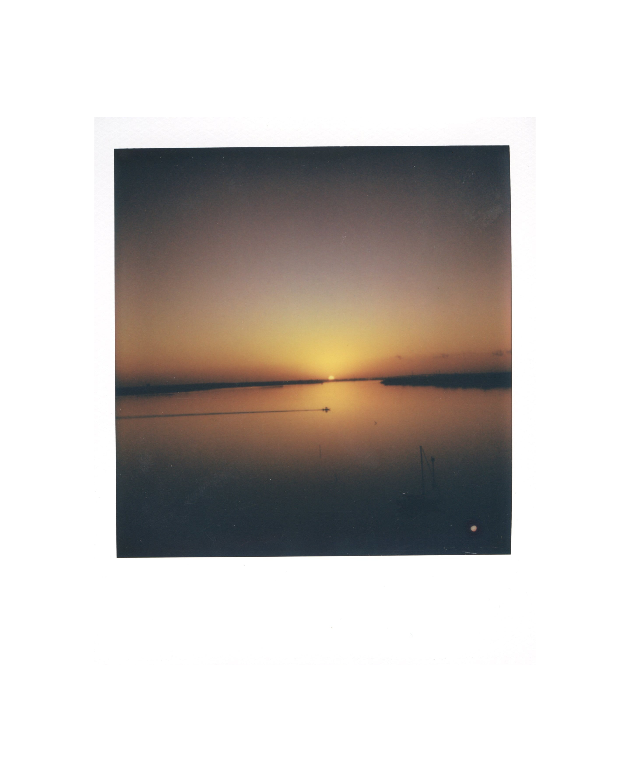 Polaroid Color 600 - 8 Pk