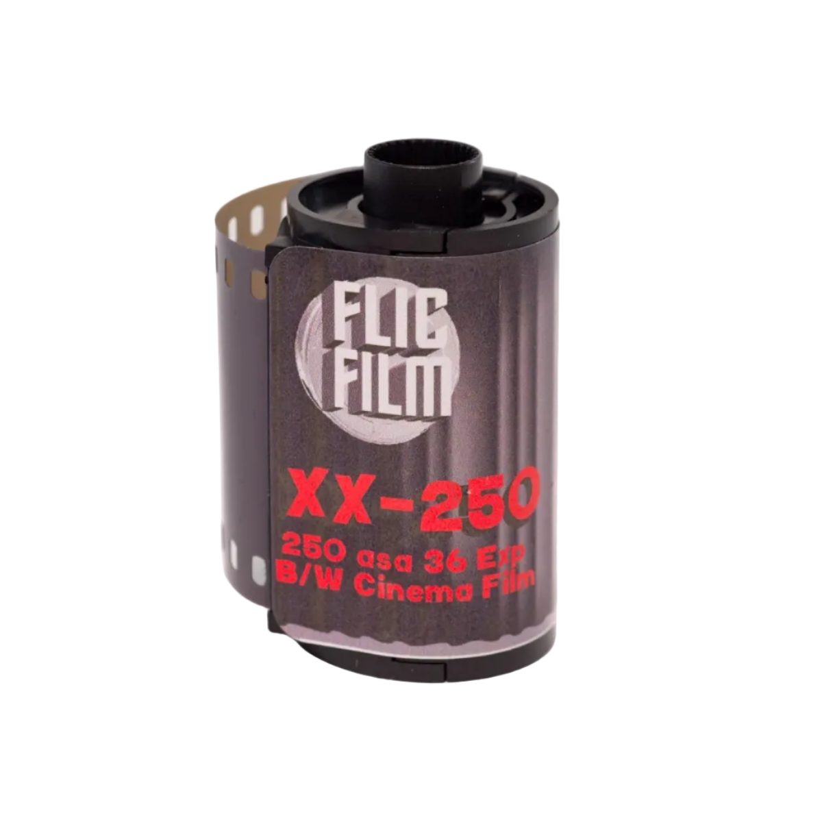 Flic Film 250 XX - 35mm