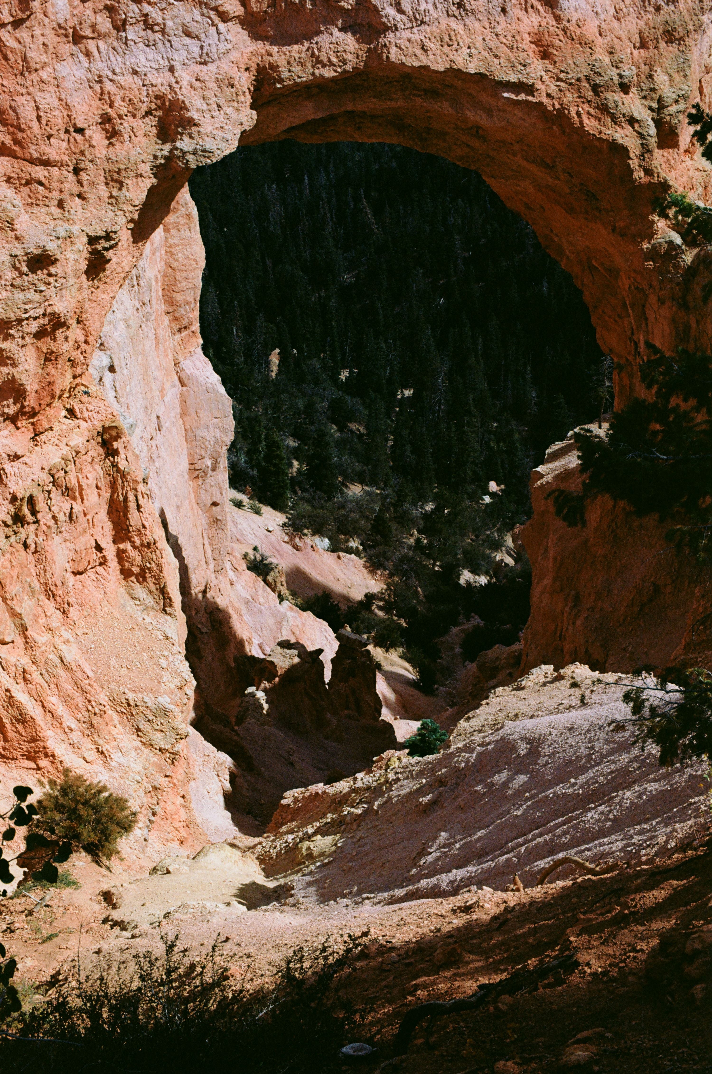 Kodak Ektar 100 - 120