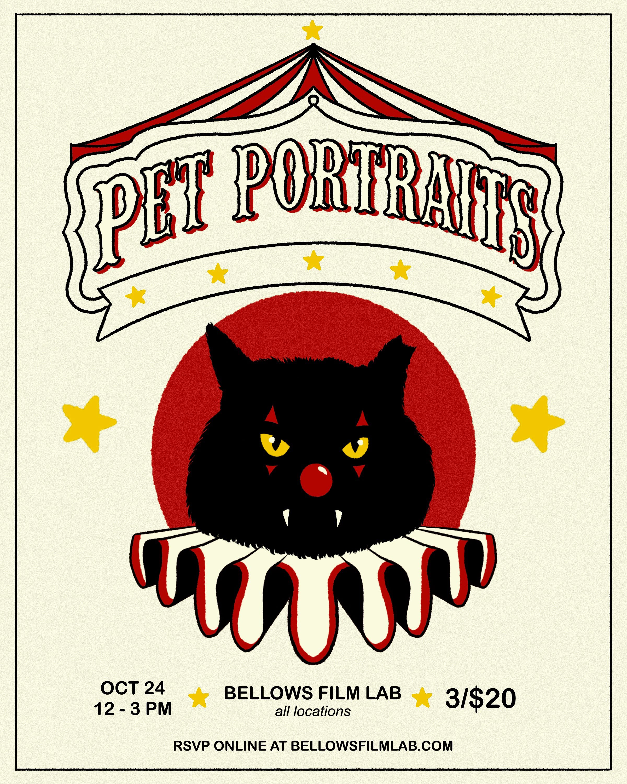 Bellows Halloween Pet Portraits (Miami)
