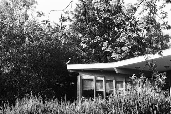 FomaPan Action 400 - 35mm