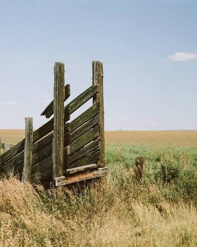 FPP Nostalgic Color 400 - 35mm