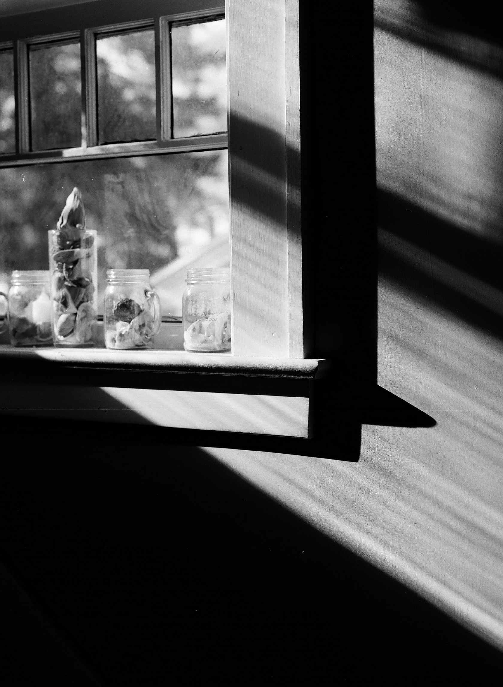 Kodak Ektapan 100 - 120mm - Single