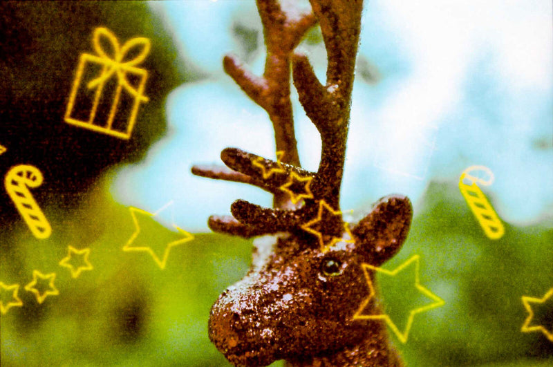 Kono! Wintermärchen 200 - 35mm