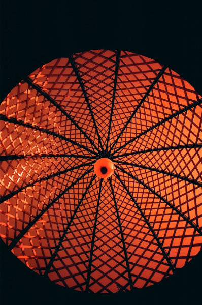 Kono! Rotwild No.2 400 - 35mm