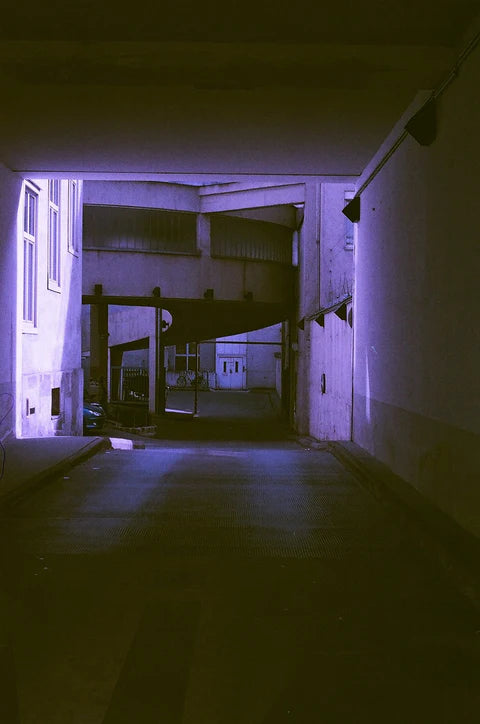 Revolog 460nm 200 - 35mm