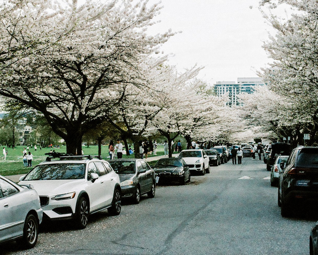 Street Candy Psychedelic 400